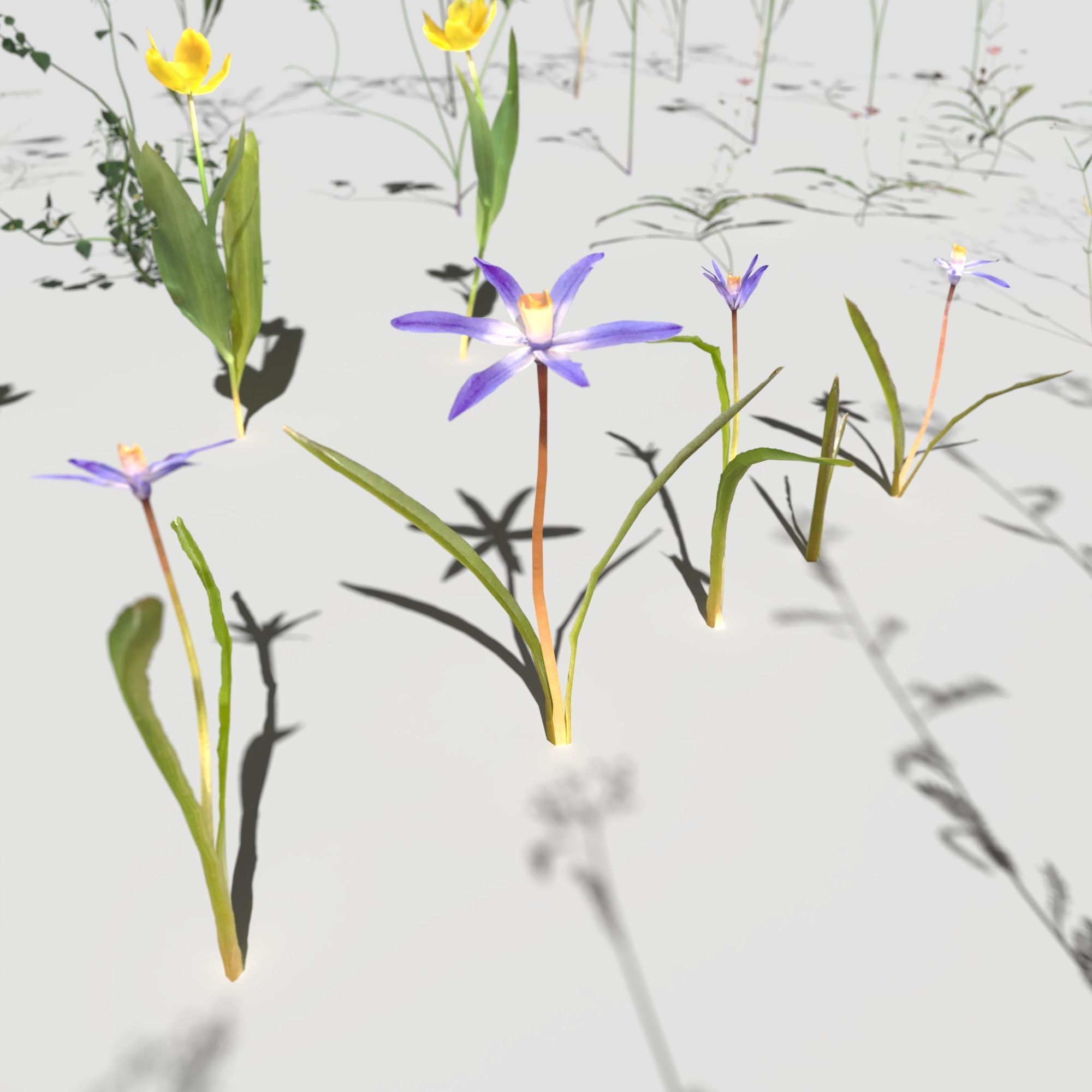 Wild Flower Plant Pack 3D model_13