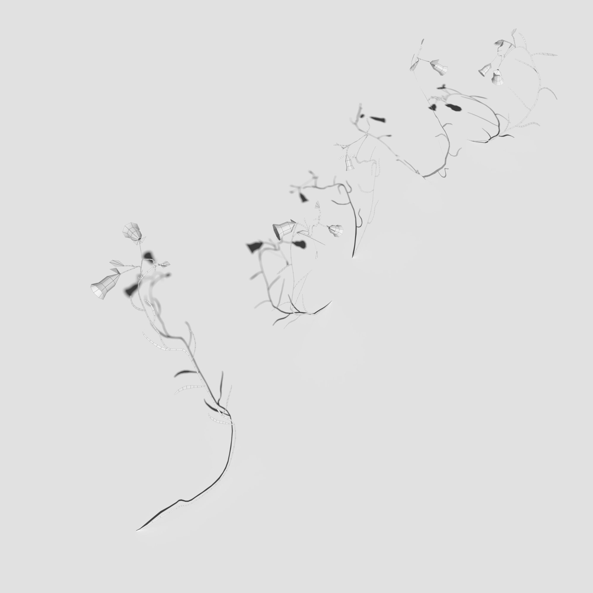 Wild Flower Plant Pack 3D model_48