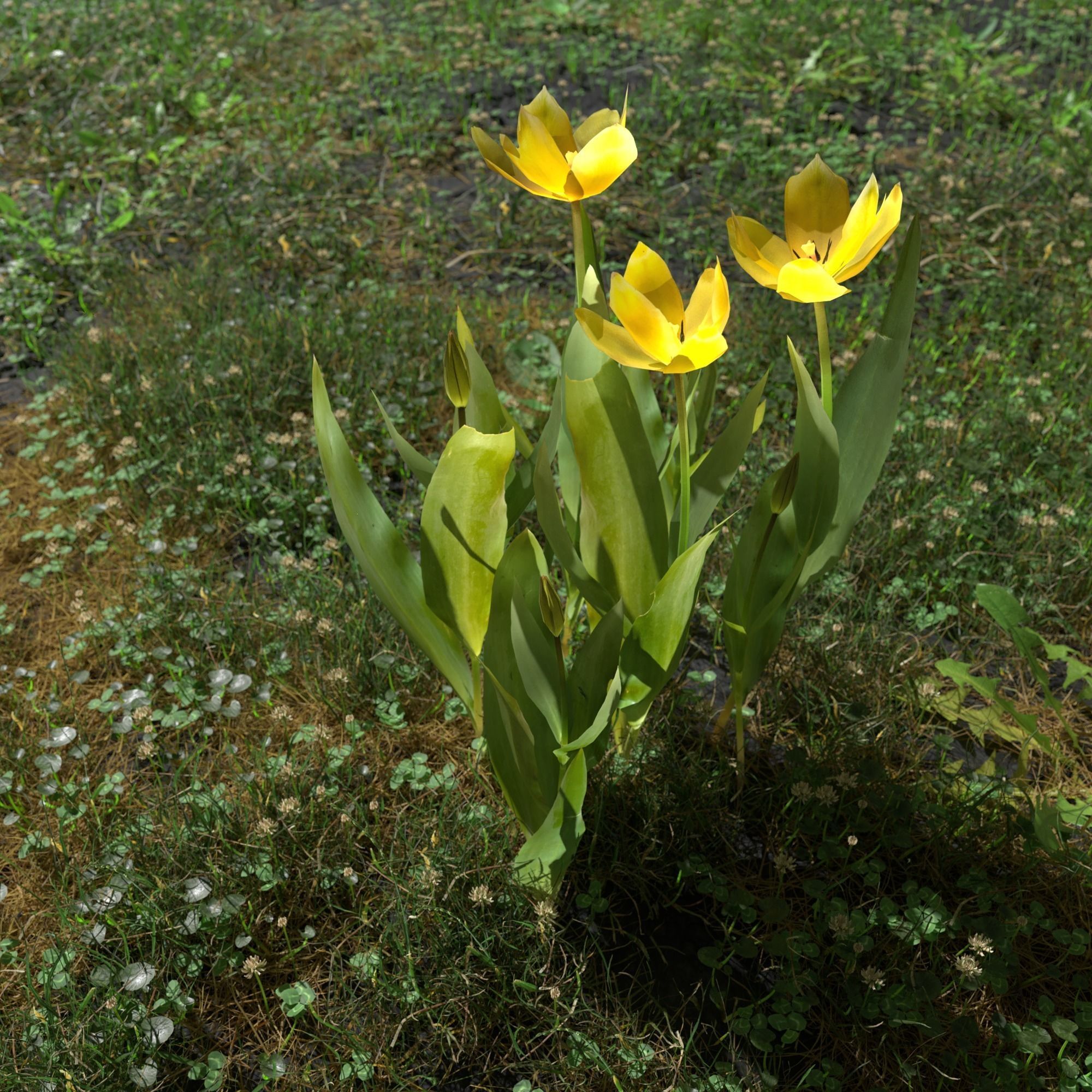 Wild Flower Plant Pack 3D model_73