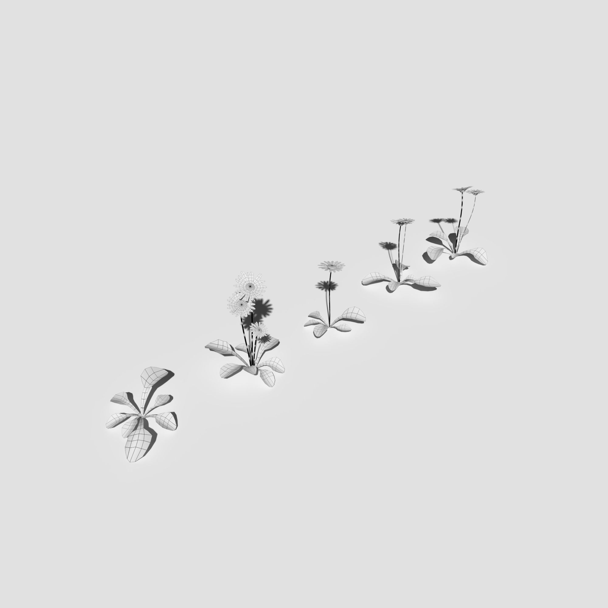 Wild Flower Plant Pack 3D model_32