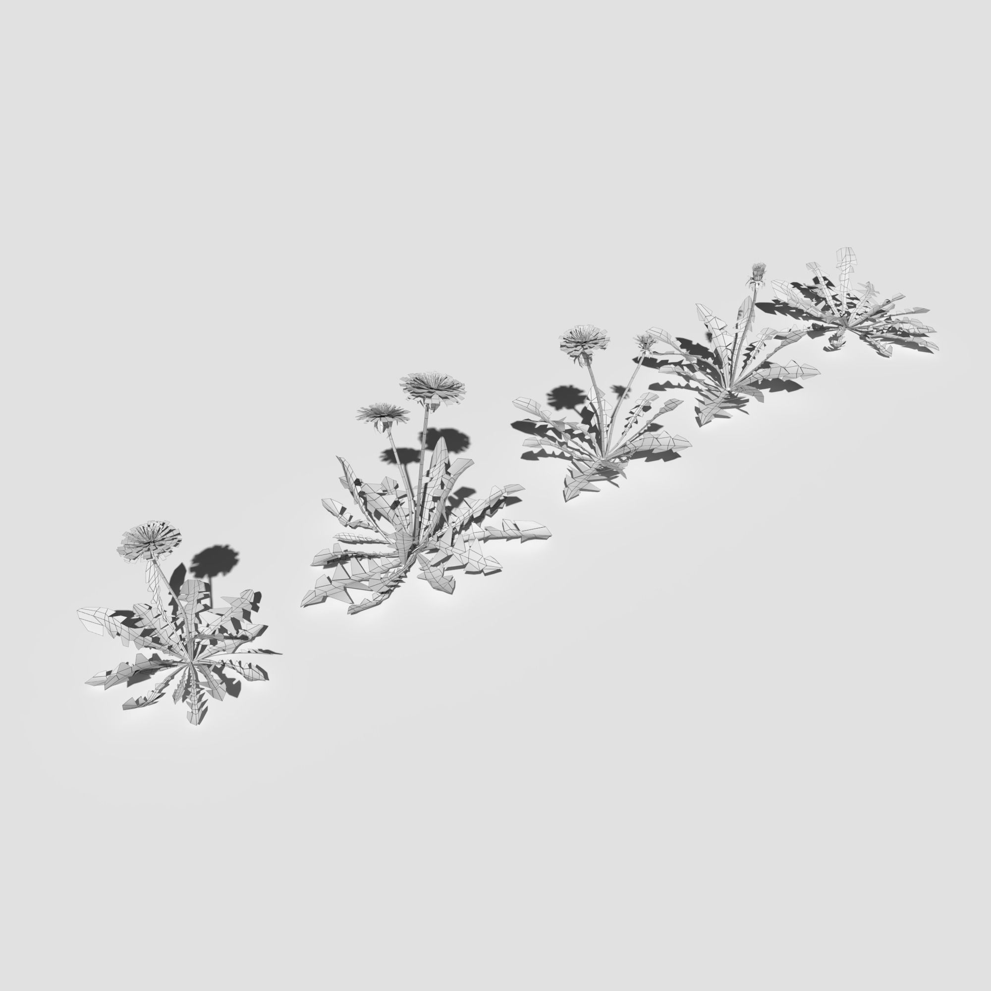 Wild Flower Plant Pack 3D model_34