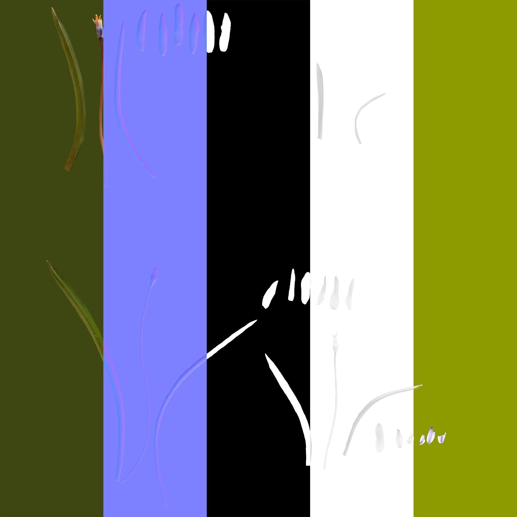 Wild Flower Plant Pack 3D model_64