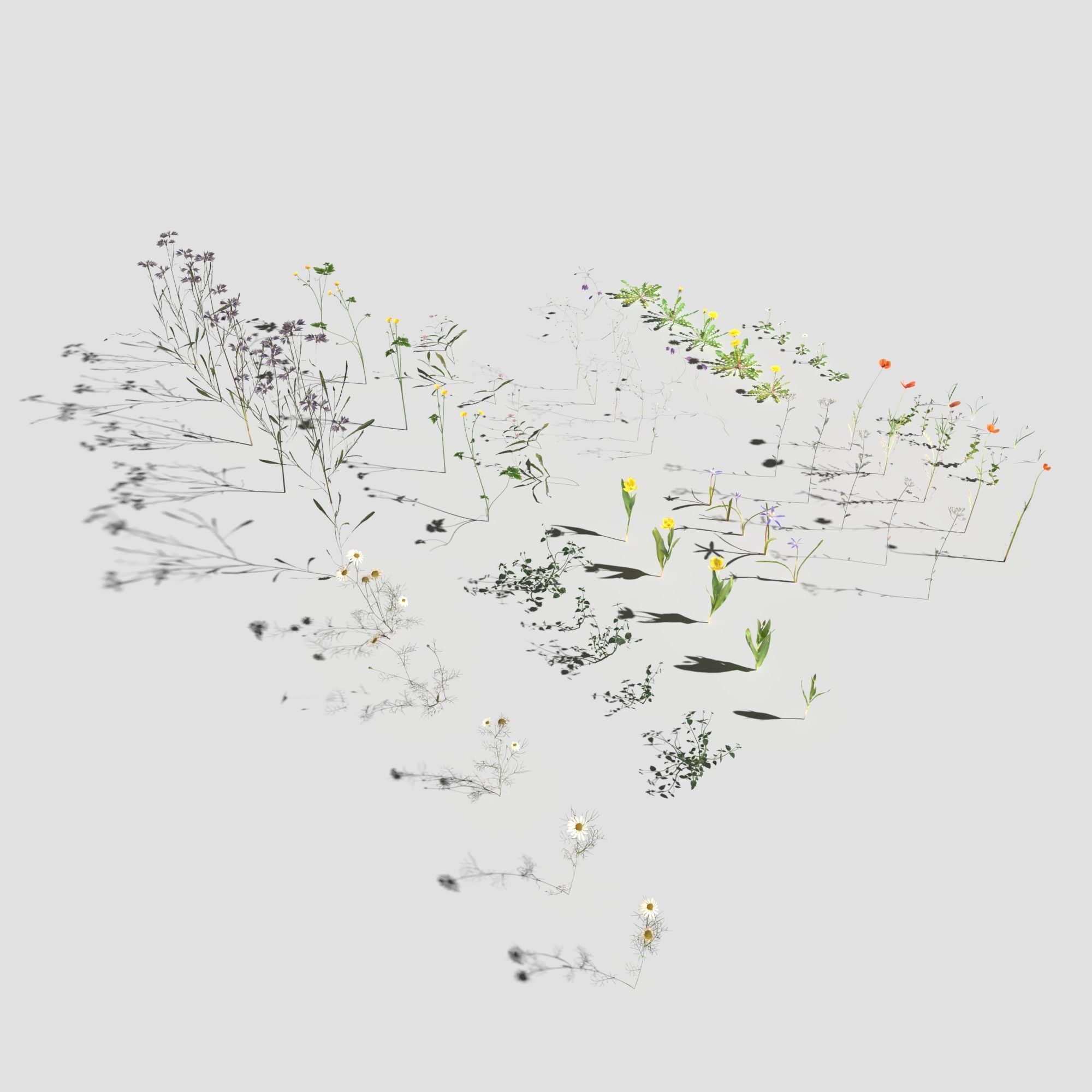 Wild Flower Plant Pack 3D model_6