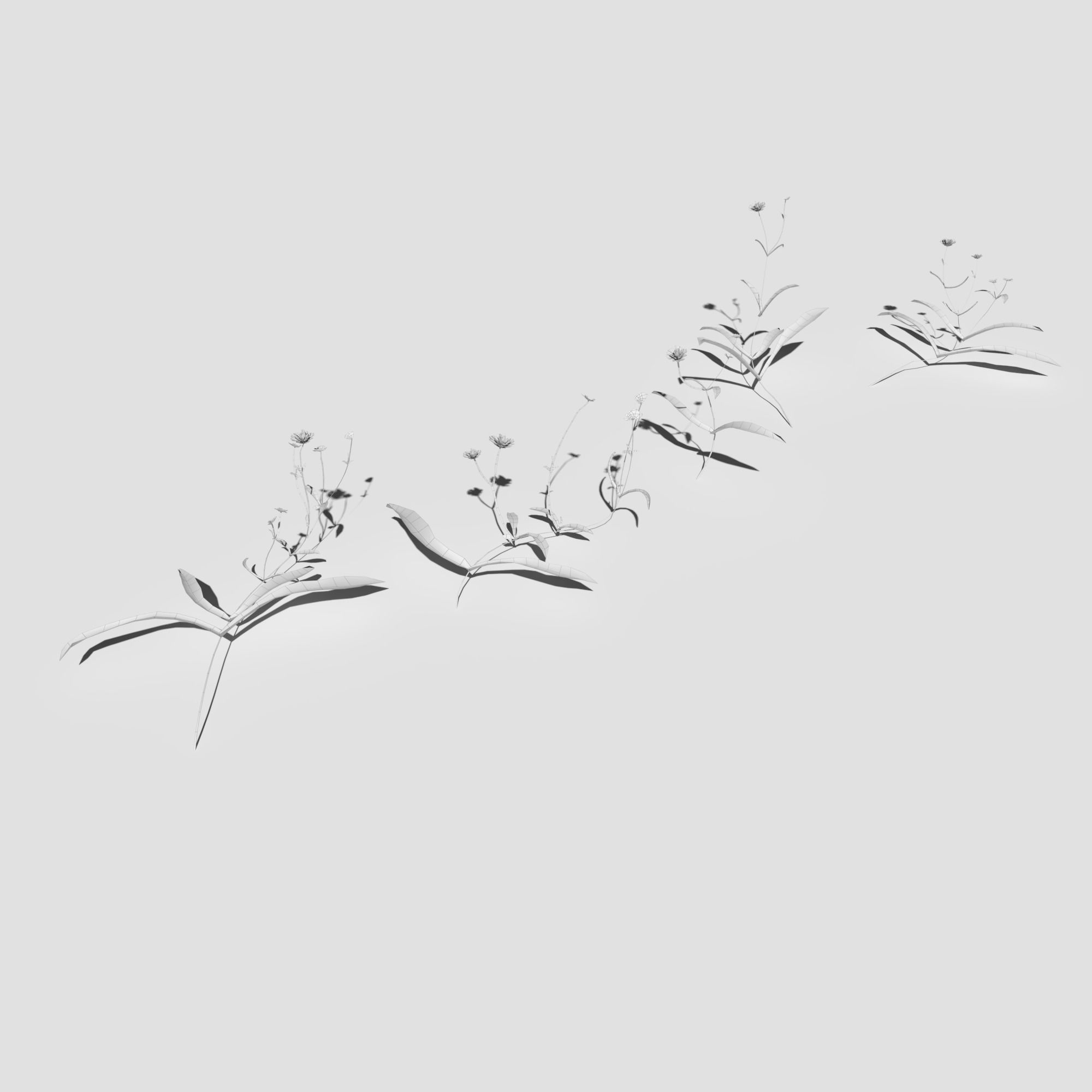 Wild Flower Plant Pack 3D model_38