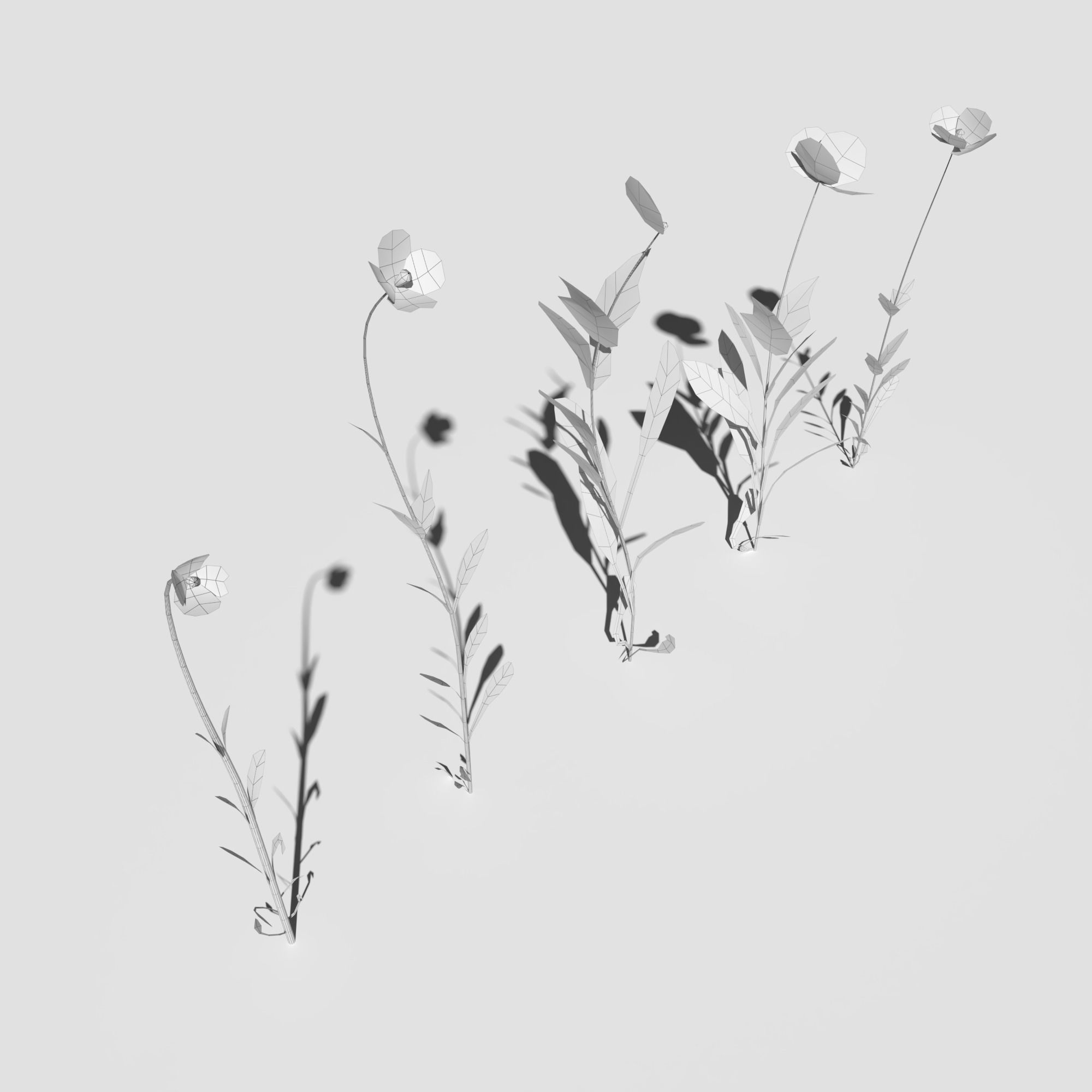 Wild Flower Plant Pack 3D model_52