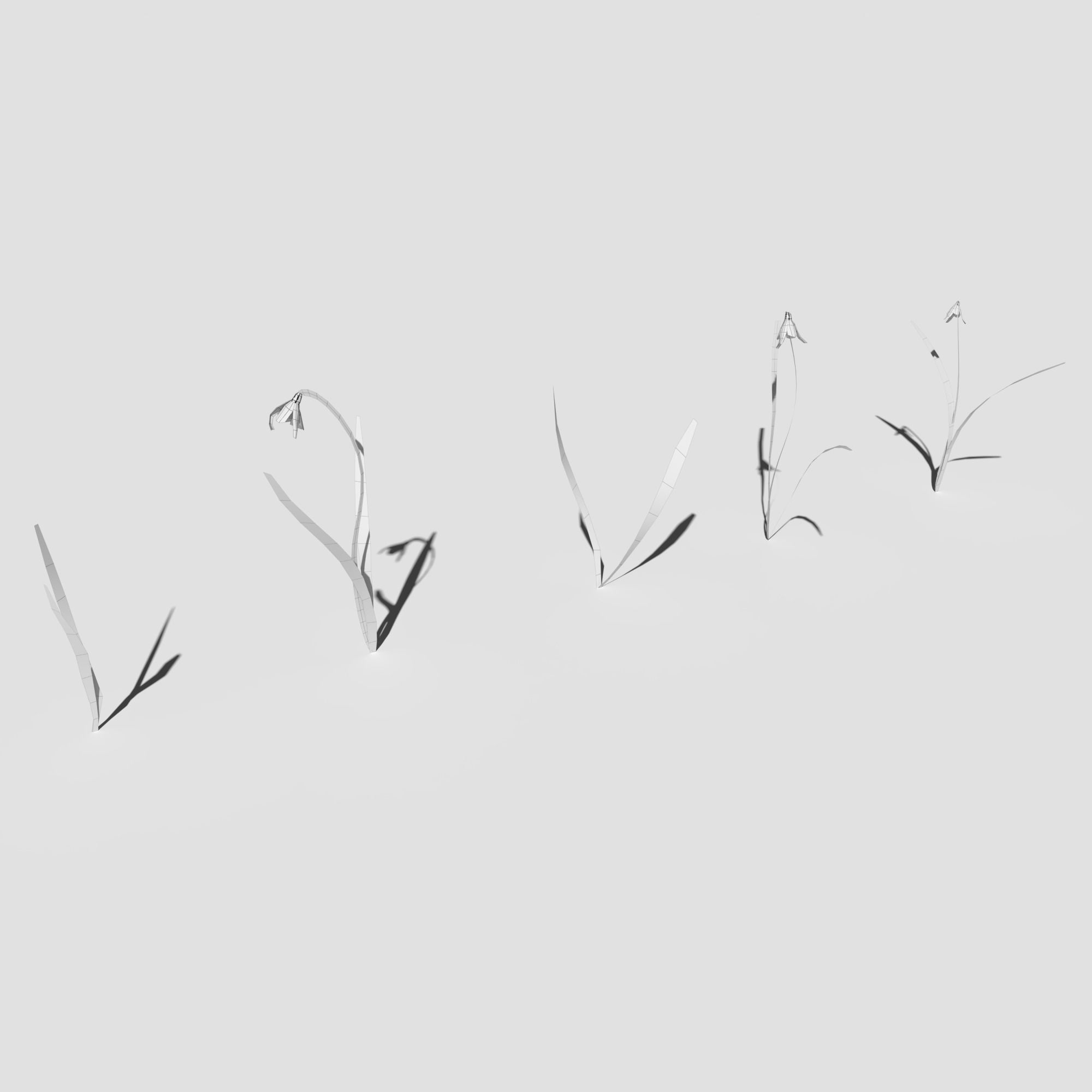 Wild Flower Plant Pack 3D model_26