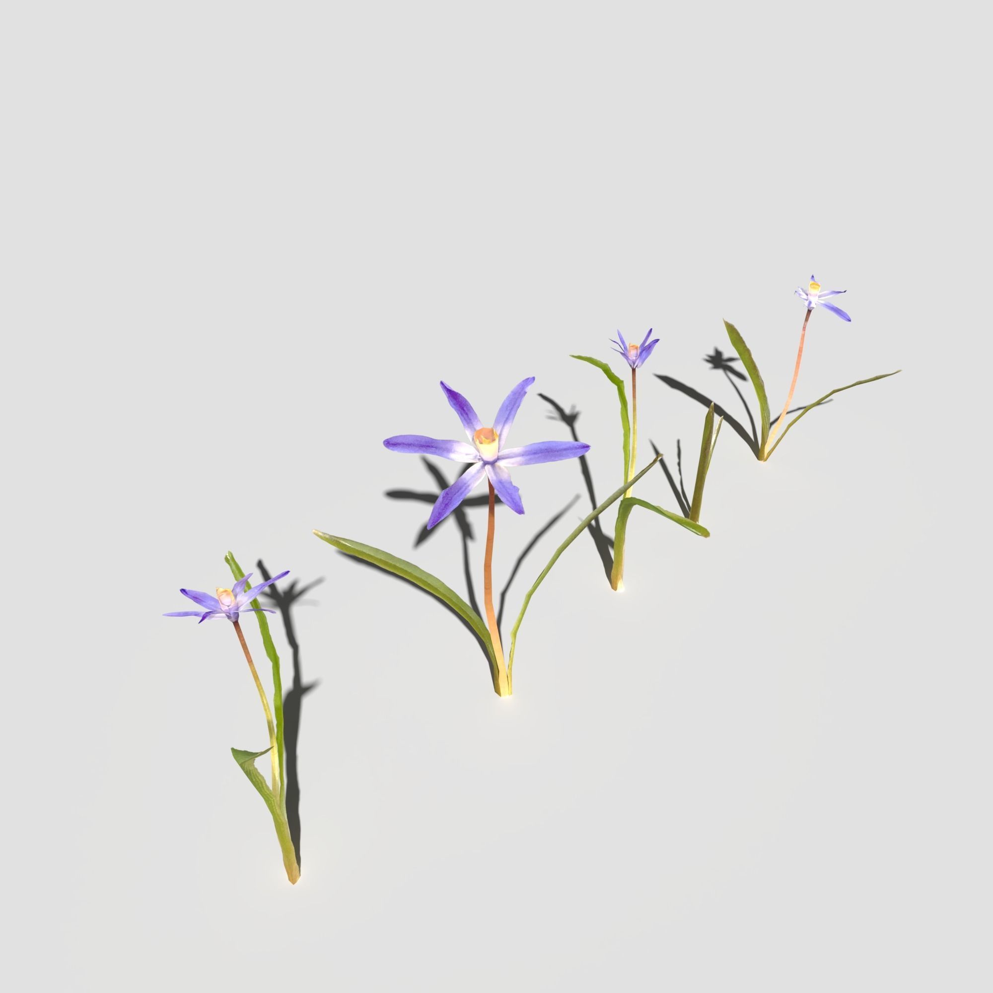 Wild Flower Plant Pack 3D model_43
