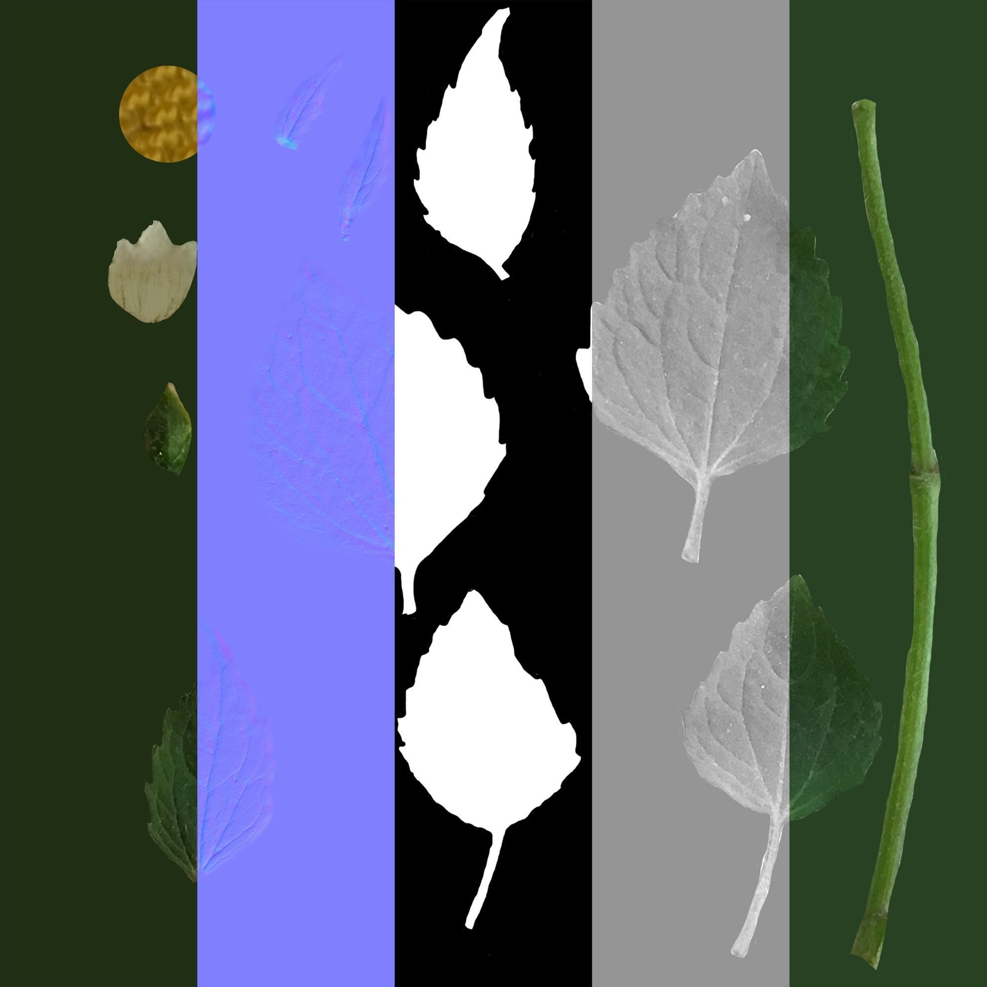 Wild Flower Plant Pack 3D model_62