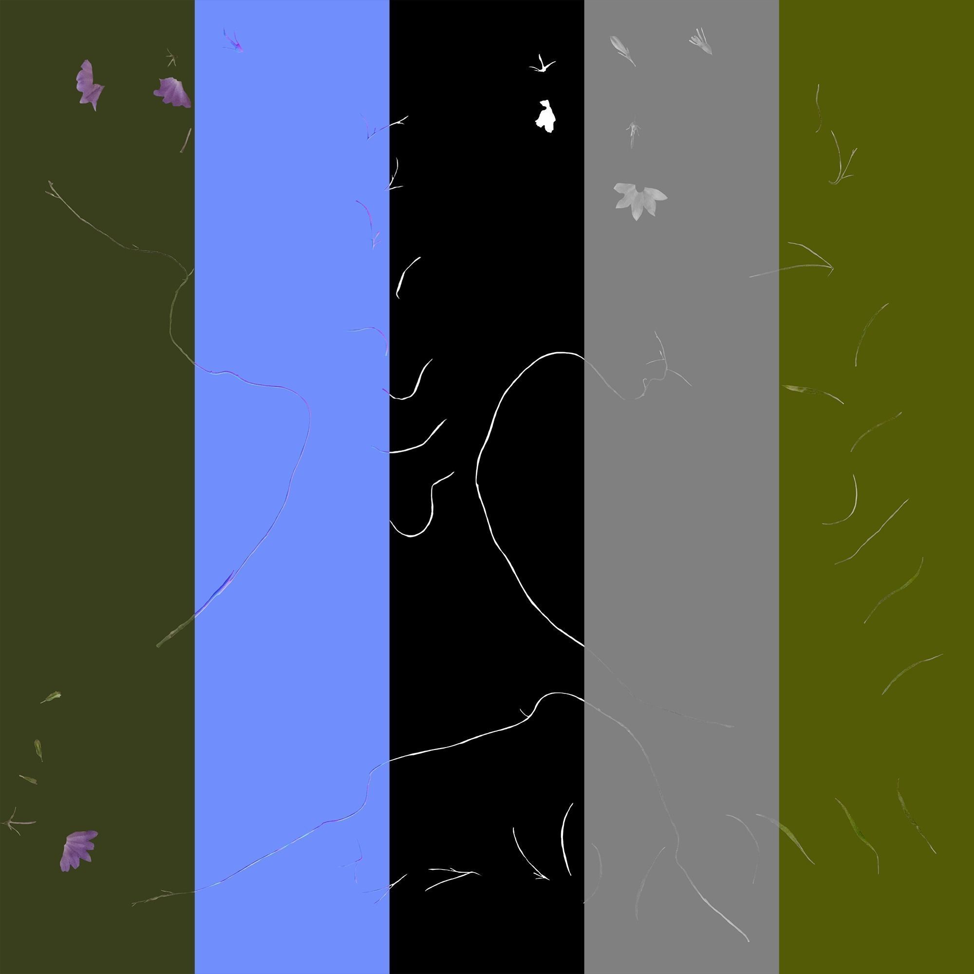 Wild Flower Plant Pack 3D model_66