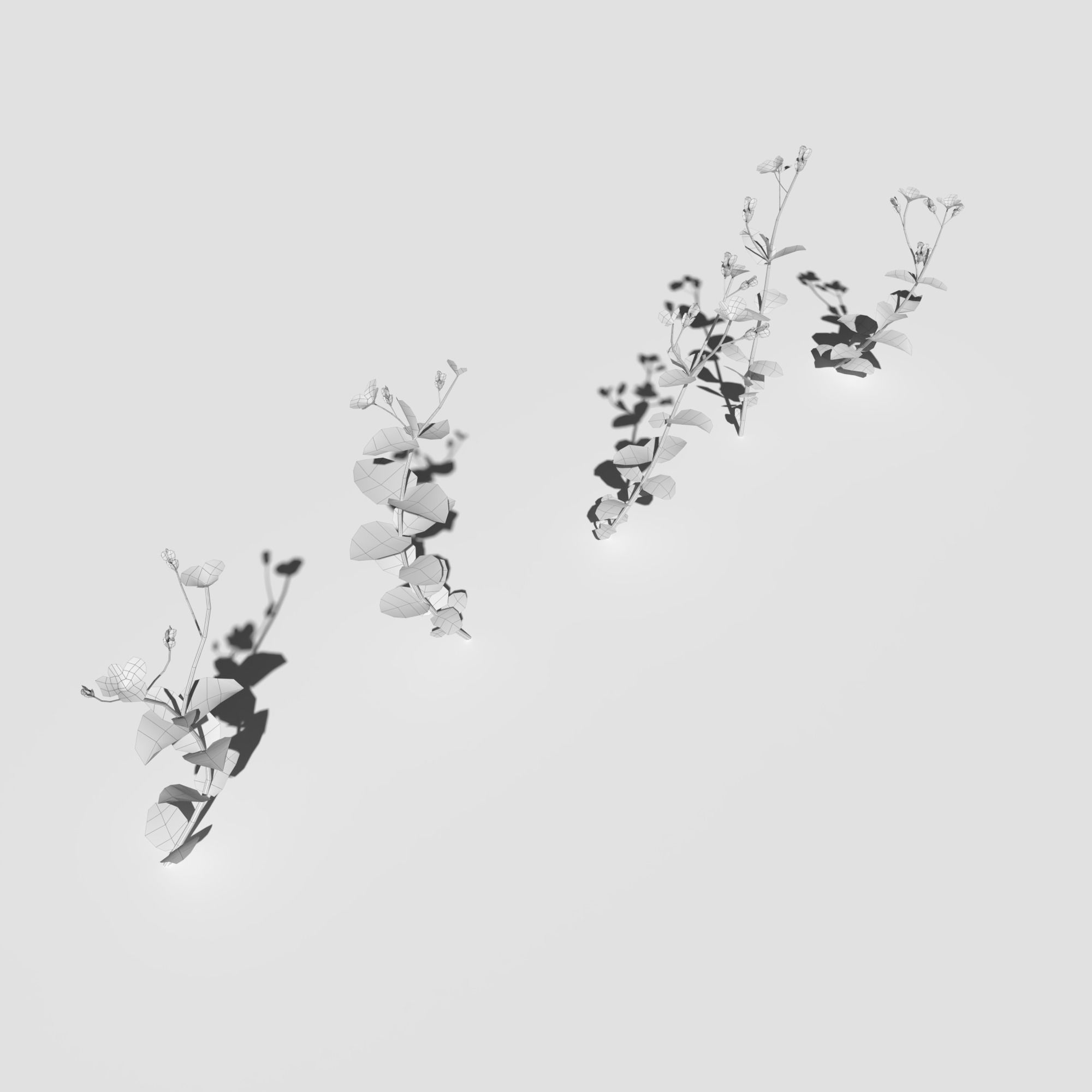 Wild Flower Plant Pack 3D model_54