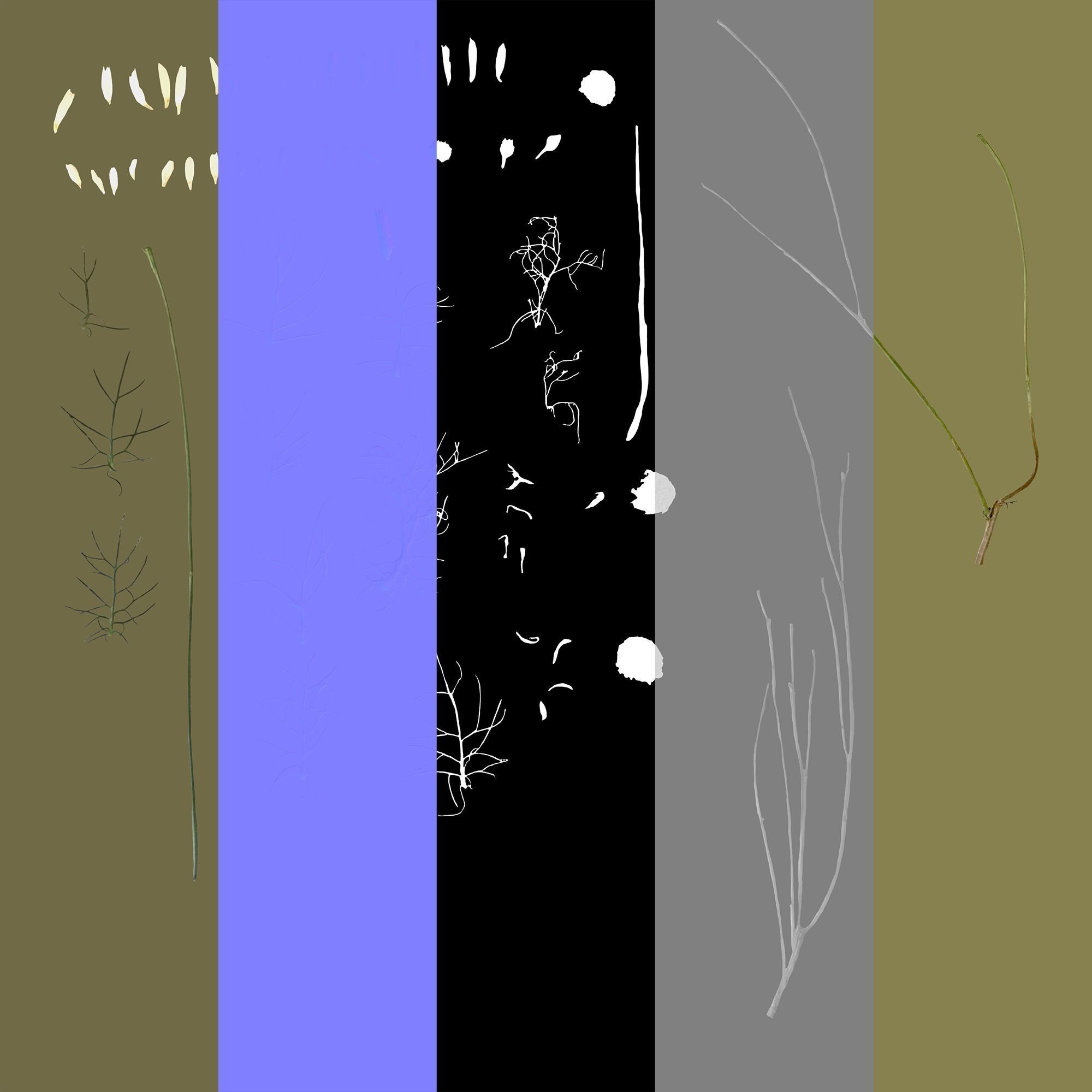 Wild Flower Plant Pack 3D model_60