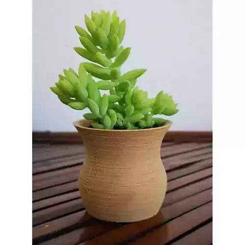 Landy vase - Basic 5