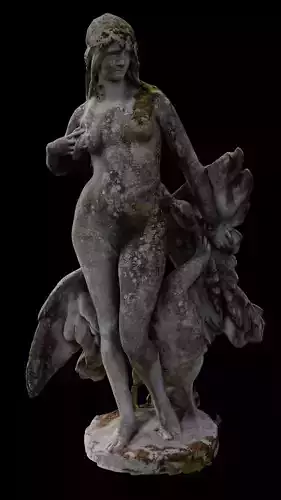 The woman and the swan