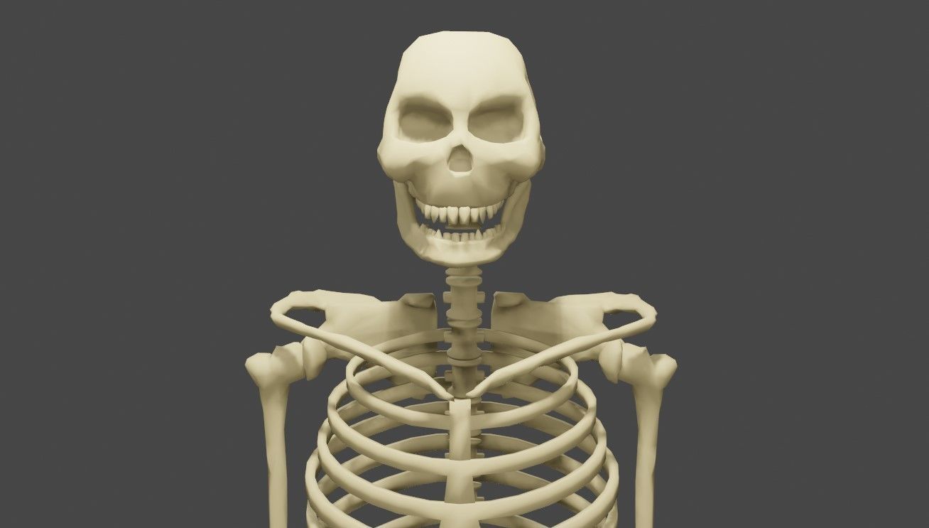 Basic Skeleton - Skull - Esqueleto 3D model_2