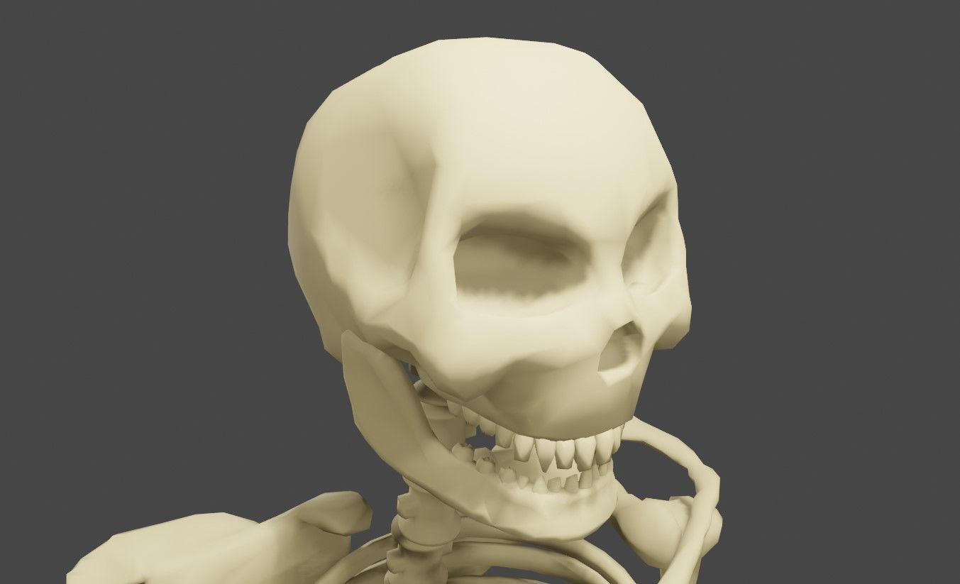 Basic Skeleton - Skull - Esqueleto 3D model_3