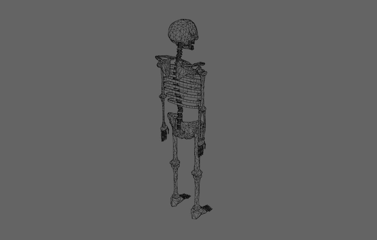 Basic Skeleton - Skull - Esqueleto 3D model_22