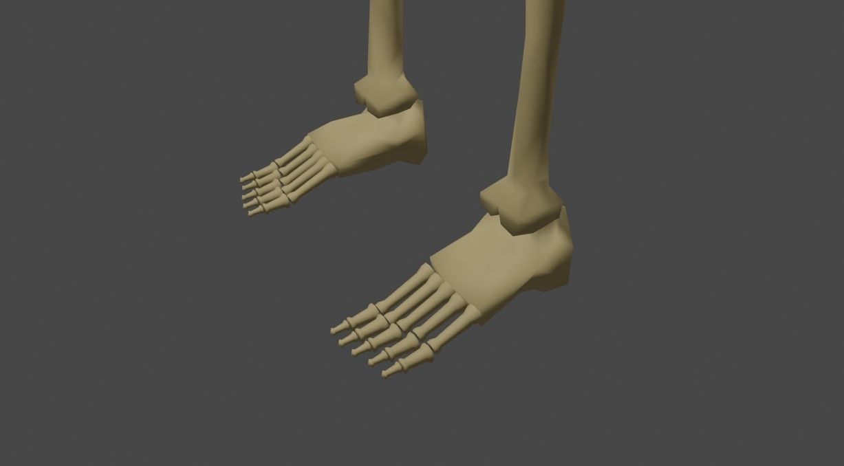 Basic Skeleton - Skull - Esqueleto 3D model_18