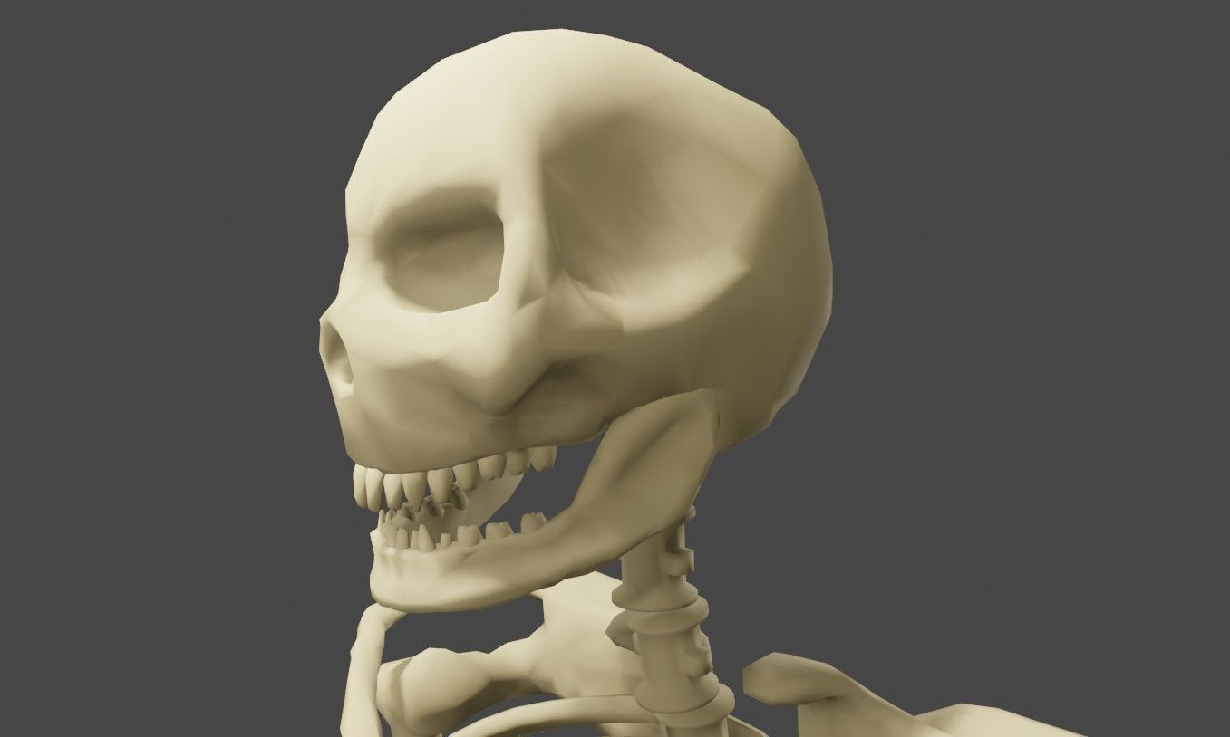Basic Skeleton - Skull - Esqueleto 3D model_1