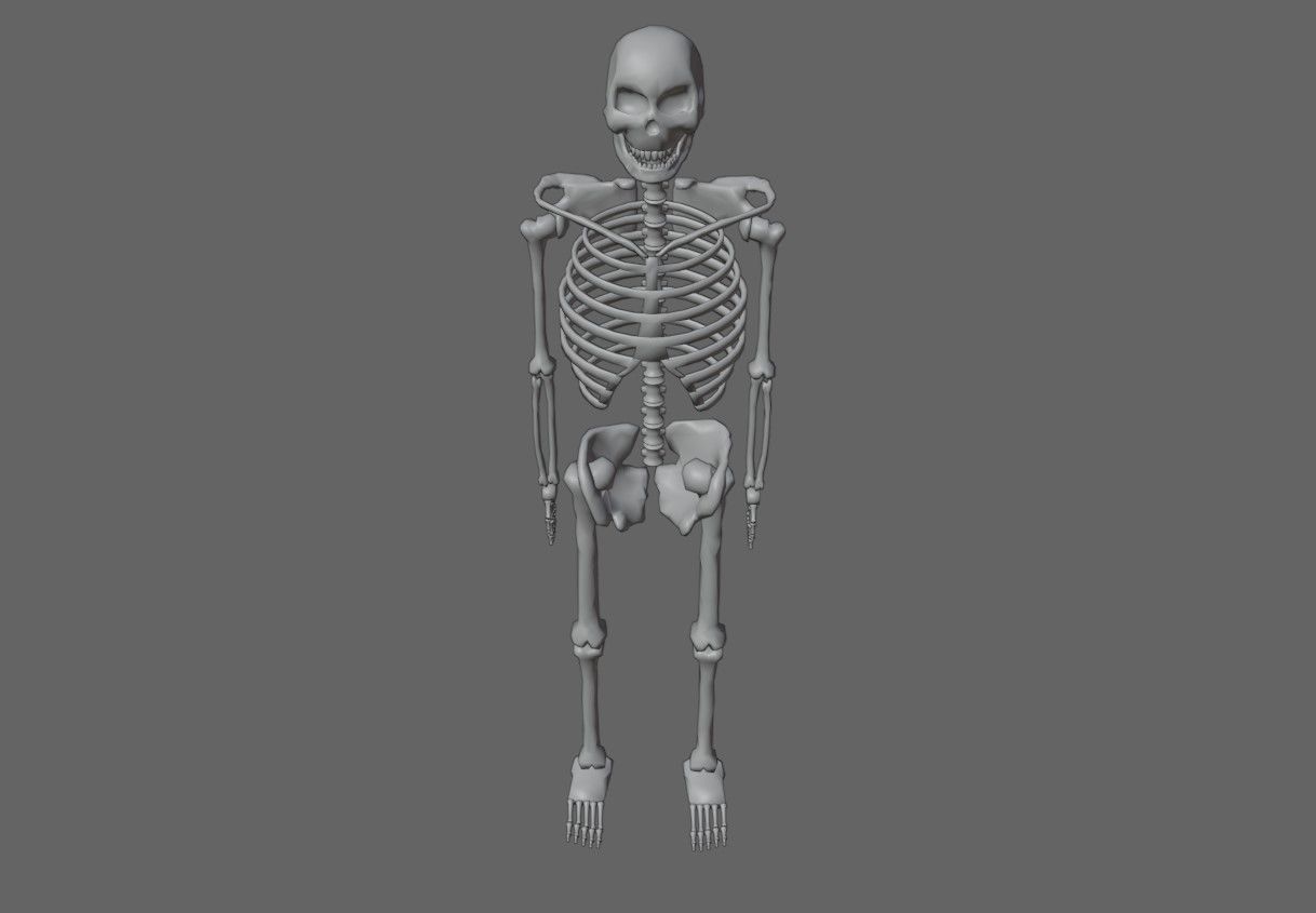 Basic Skeleton - Skull - Esqueleto 3D model_19