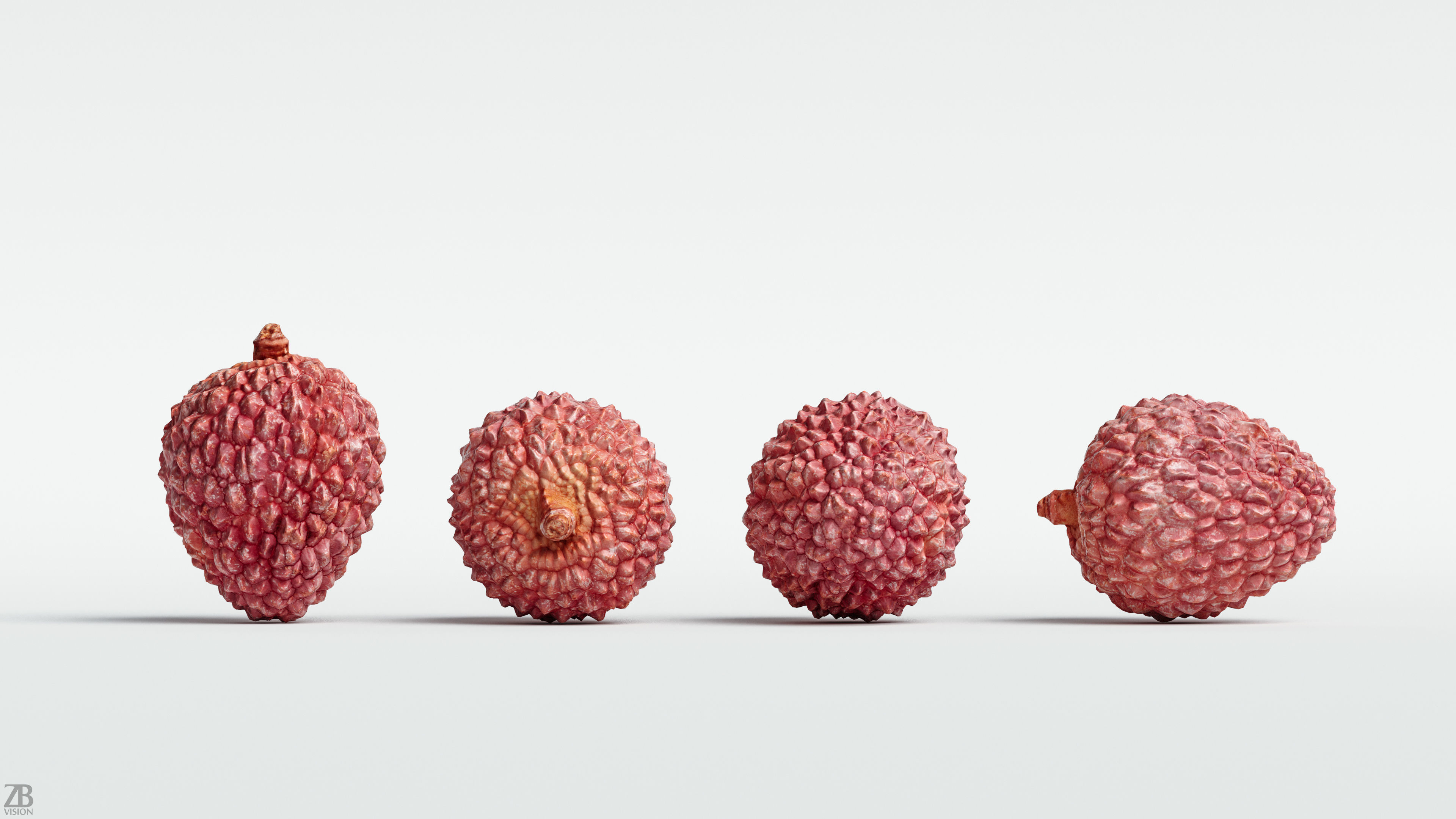 Litchi 3D model_3