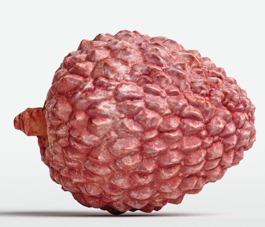 Litchi 3D model_7