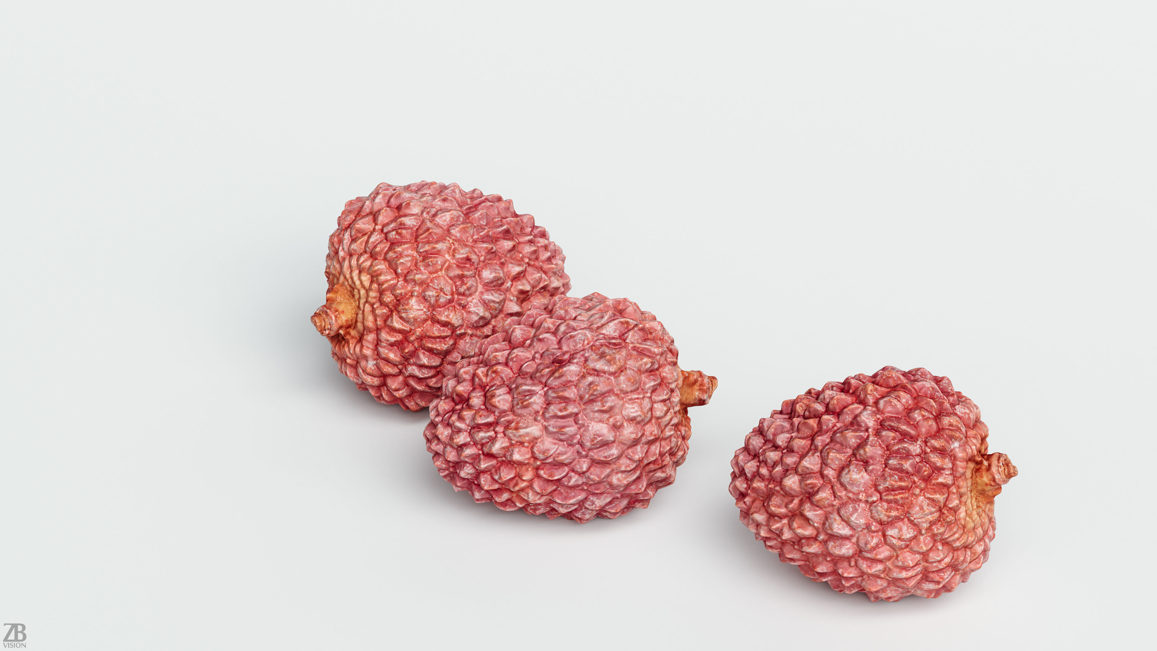 Litchi 3D model_1