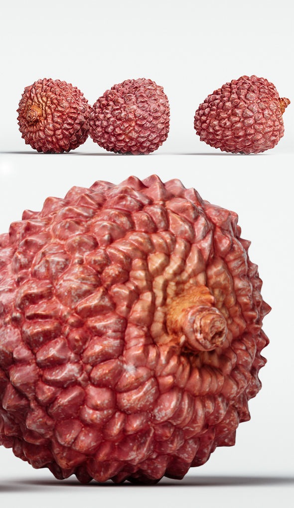 Litchi 3D model_11