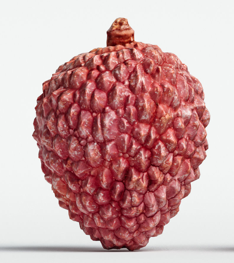 Litchi 3D model_4