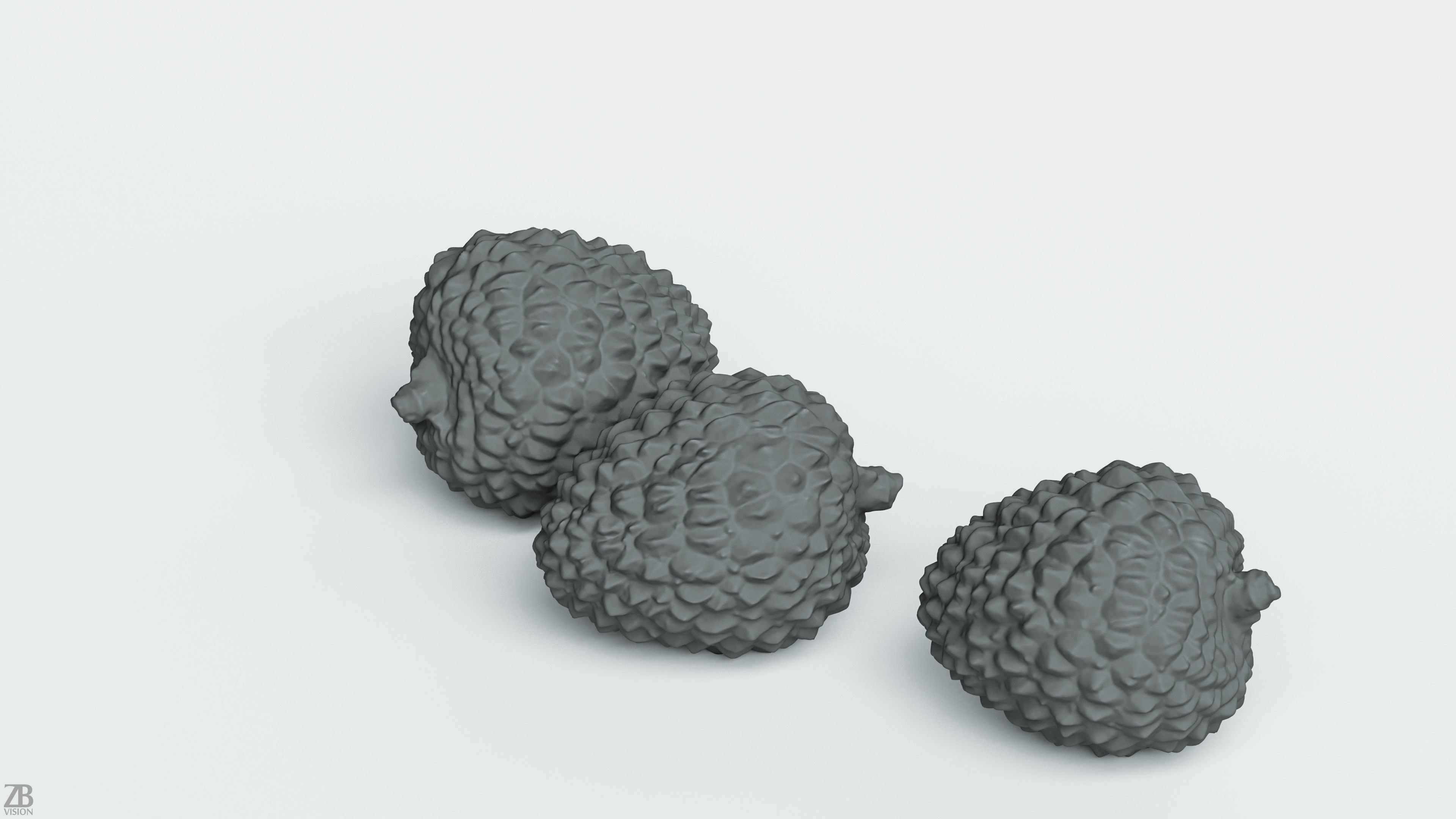 Litchi 3D model_2