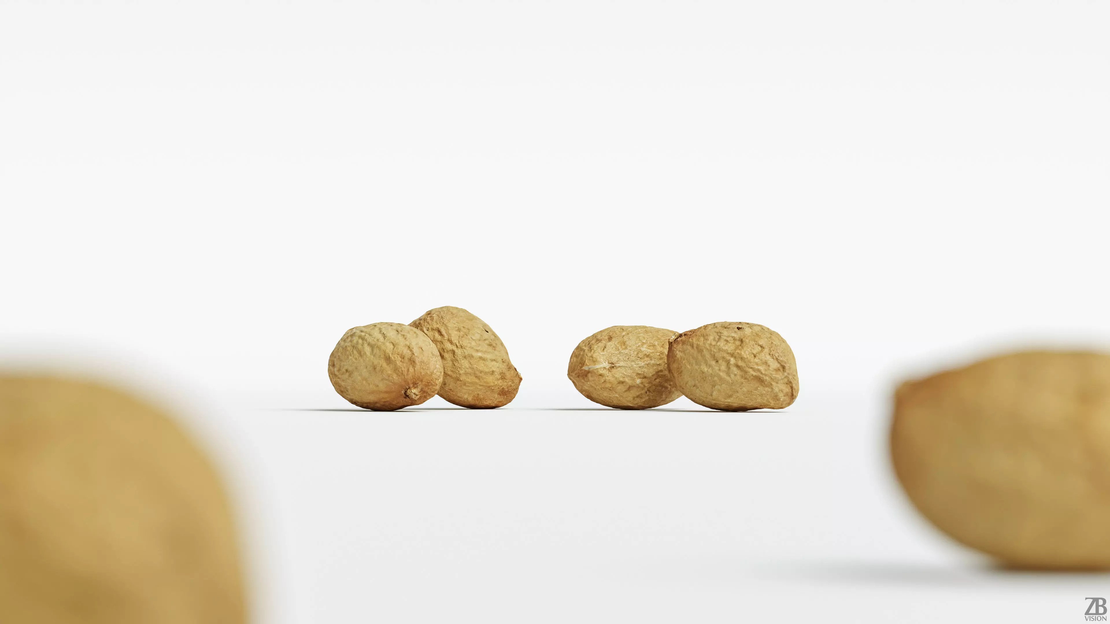 Peanut 3D model