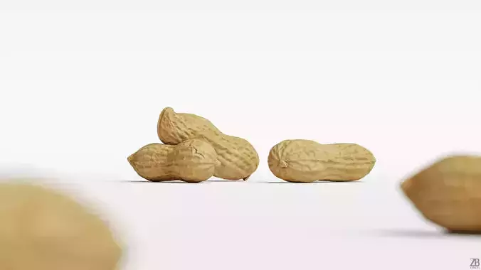 Peanut 3D model