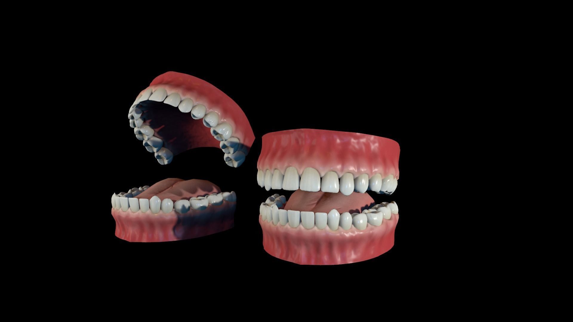 Realistic Teeth base mesh Low-poly 3D model_2