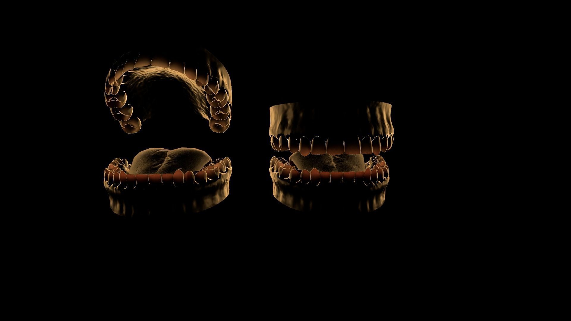 Realistic Teeth base mesh Low-poly 3D model_5