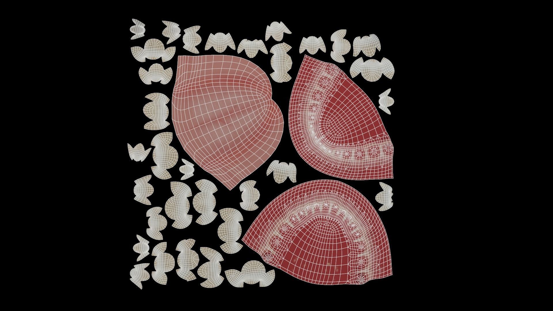 Realistic Teeth base mesh Low-poly 3D model_4