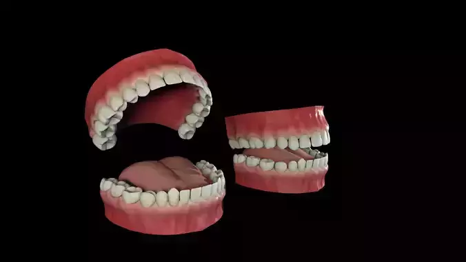 Realistic Teeth base mesh