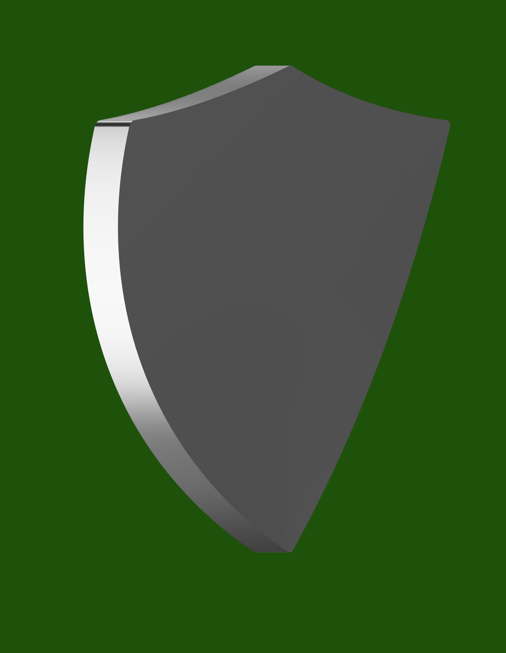 The Legends Of Zelda Hylian Shield 3D print model_4