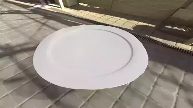 Dining Plate