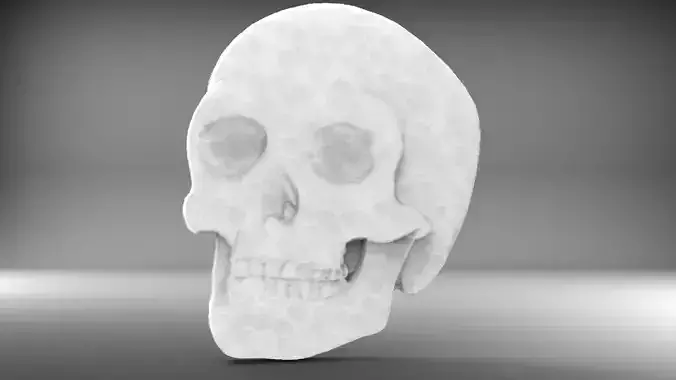 Skull bas relief 3D print model 3D print model