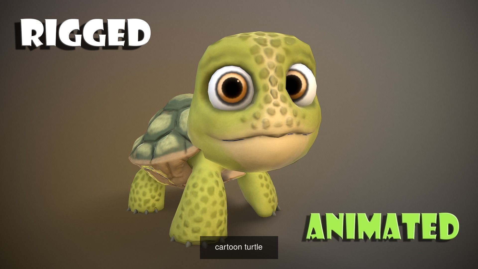 cartoon sea pack 3D Model Collection_10