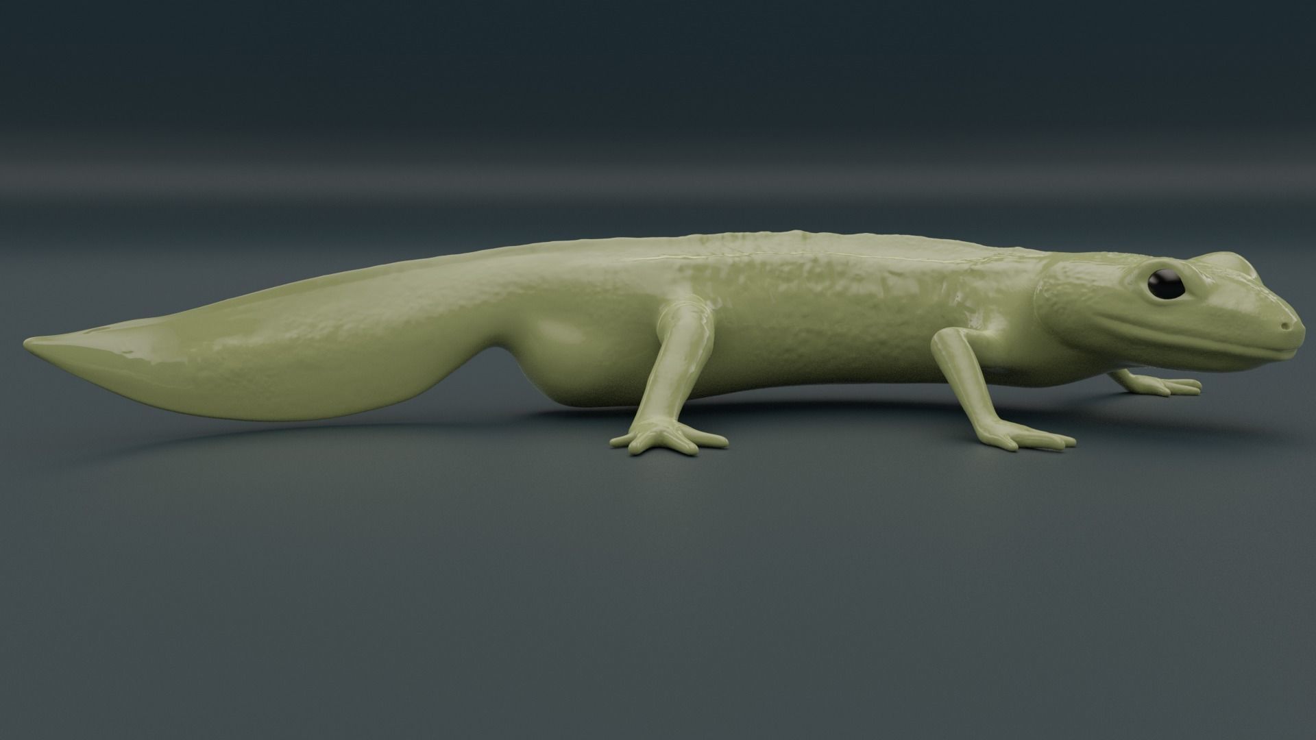 Lissotriton Montandoni Carpathian newt for 3D printing sculpt 3D print model_4