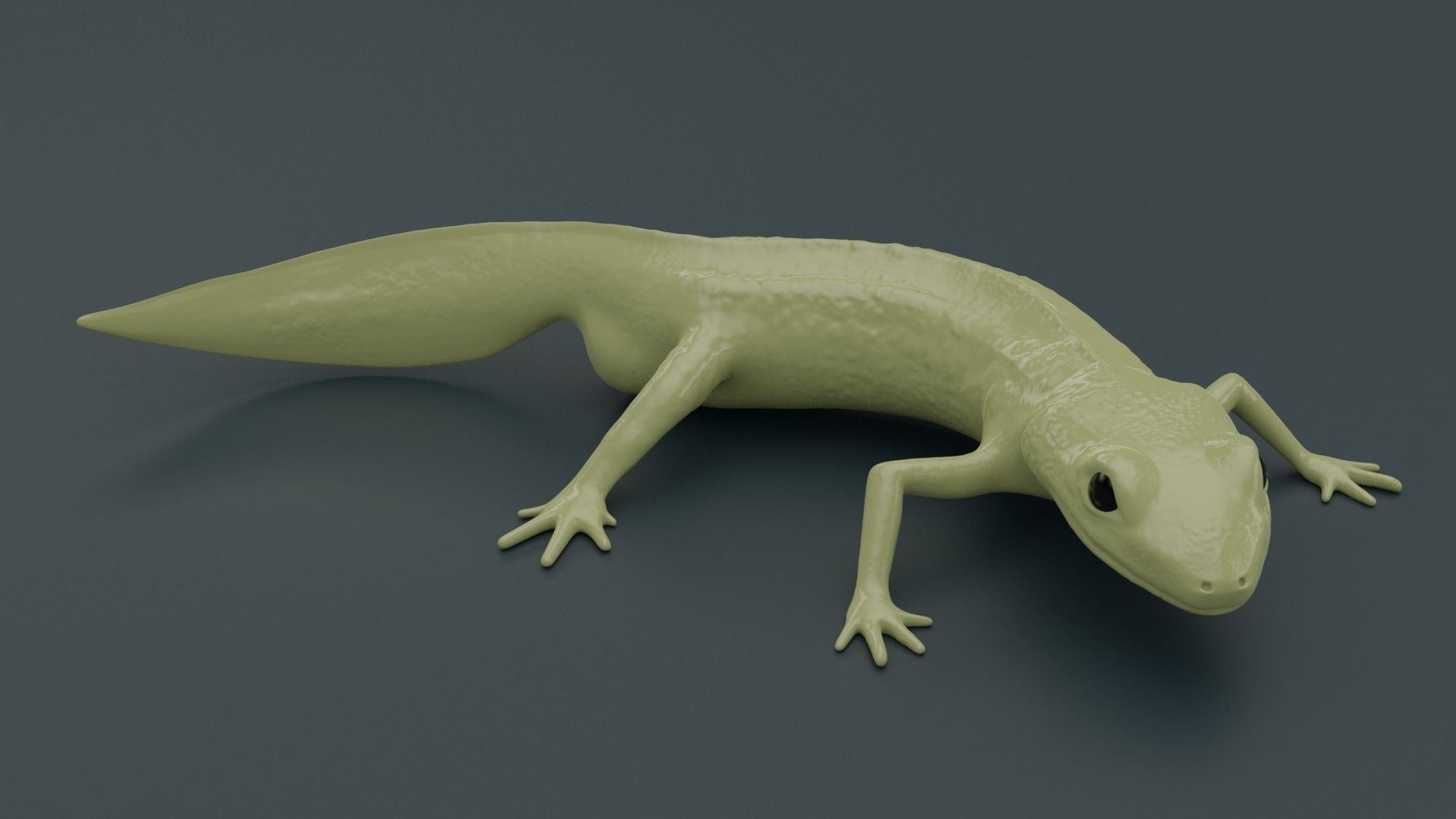 Lissotriton Montandoni Carpathian newt for 3D printing sculpt 3D print model_1