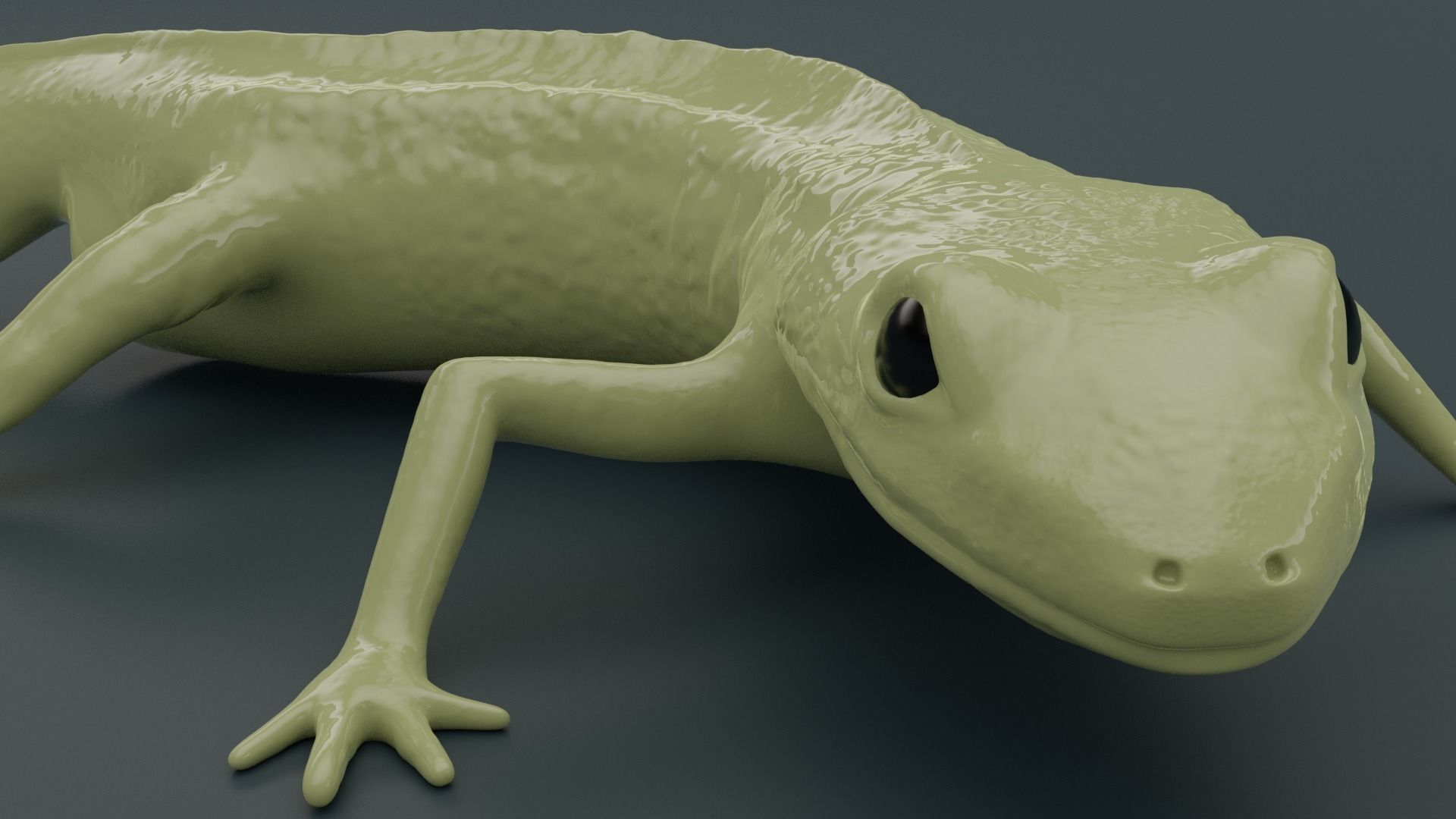 Lissotriton Montandoni Carpathian newt for 3D printing sculpt
