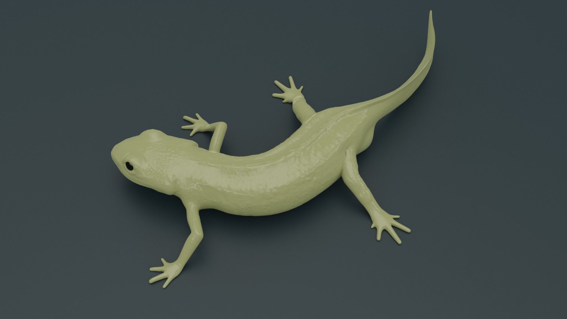 Lissotriton Montandoni Carpathian newt for 3D printing sculpt 3D print model_3