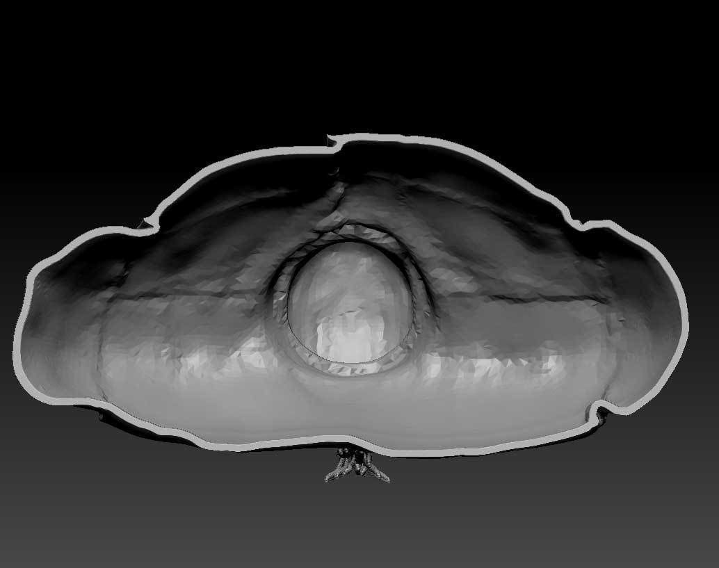 Lewis Hamilton 3D print model_6