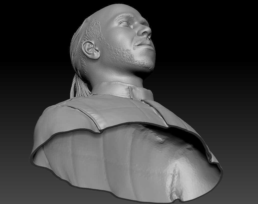 Lewis Hamilton 3D print model_5