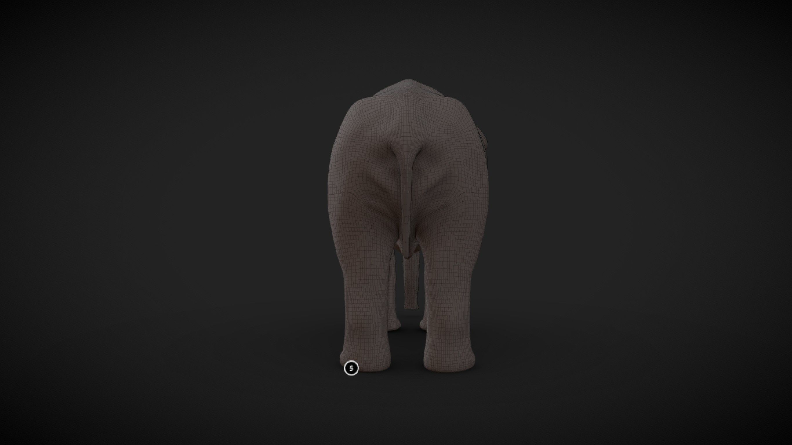 Asian Elephant male Base Mesh Low-poly 3D model_9