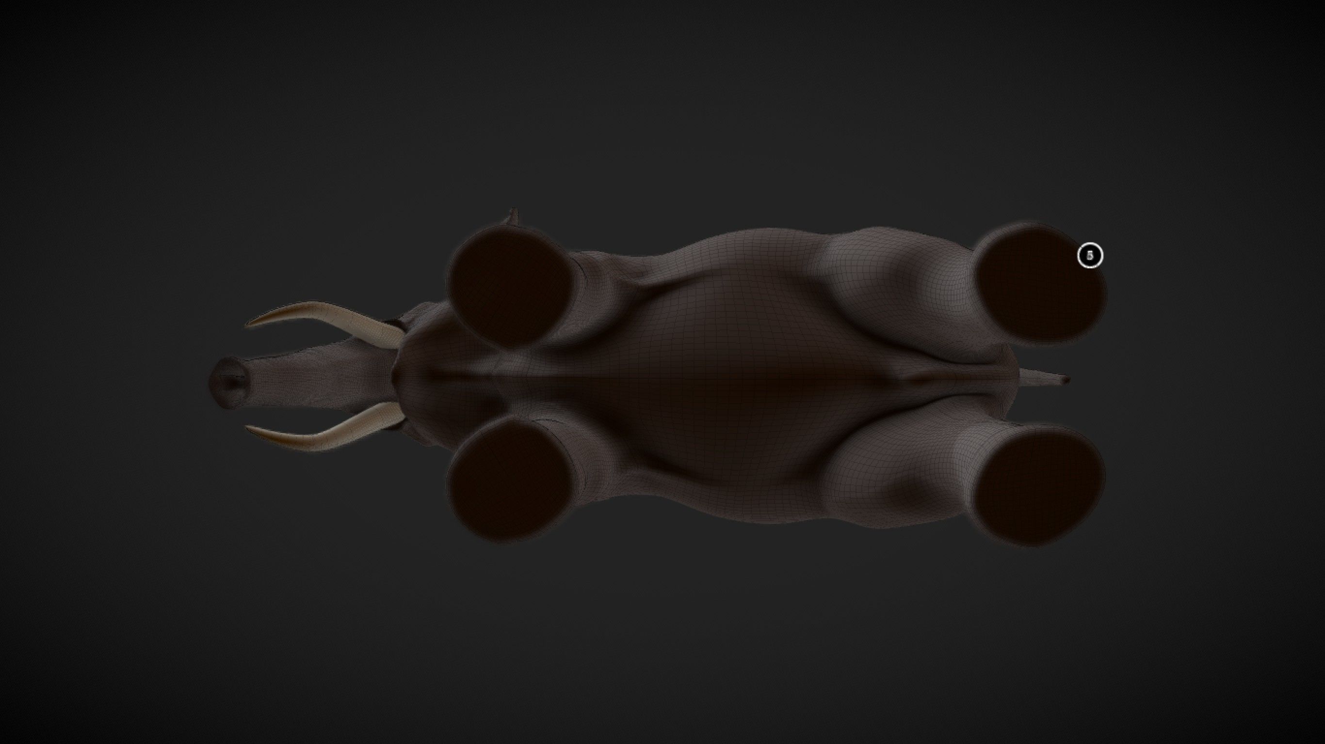 Asian Elephant male Base Mesh Low-poly 3D model_15