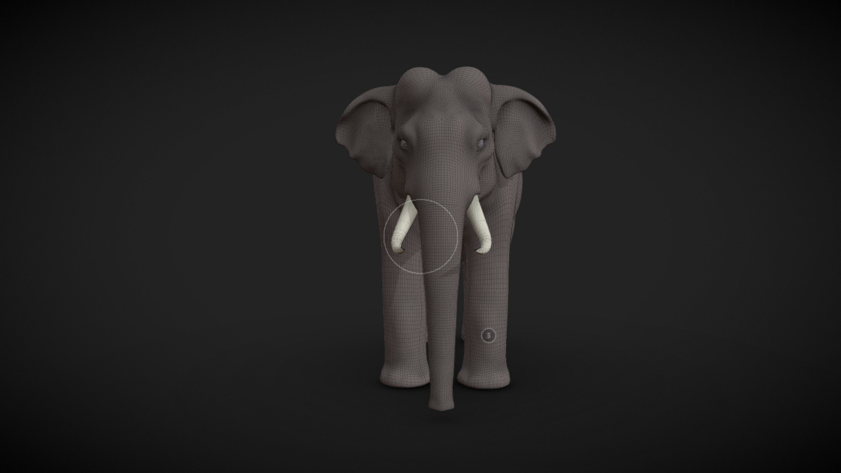 Asian Elephant male Base Mesh Low-poly 3D model_3