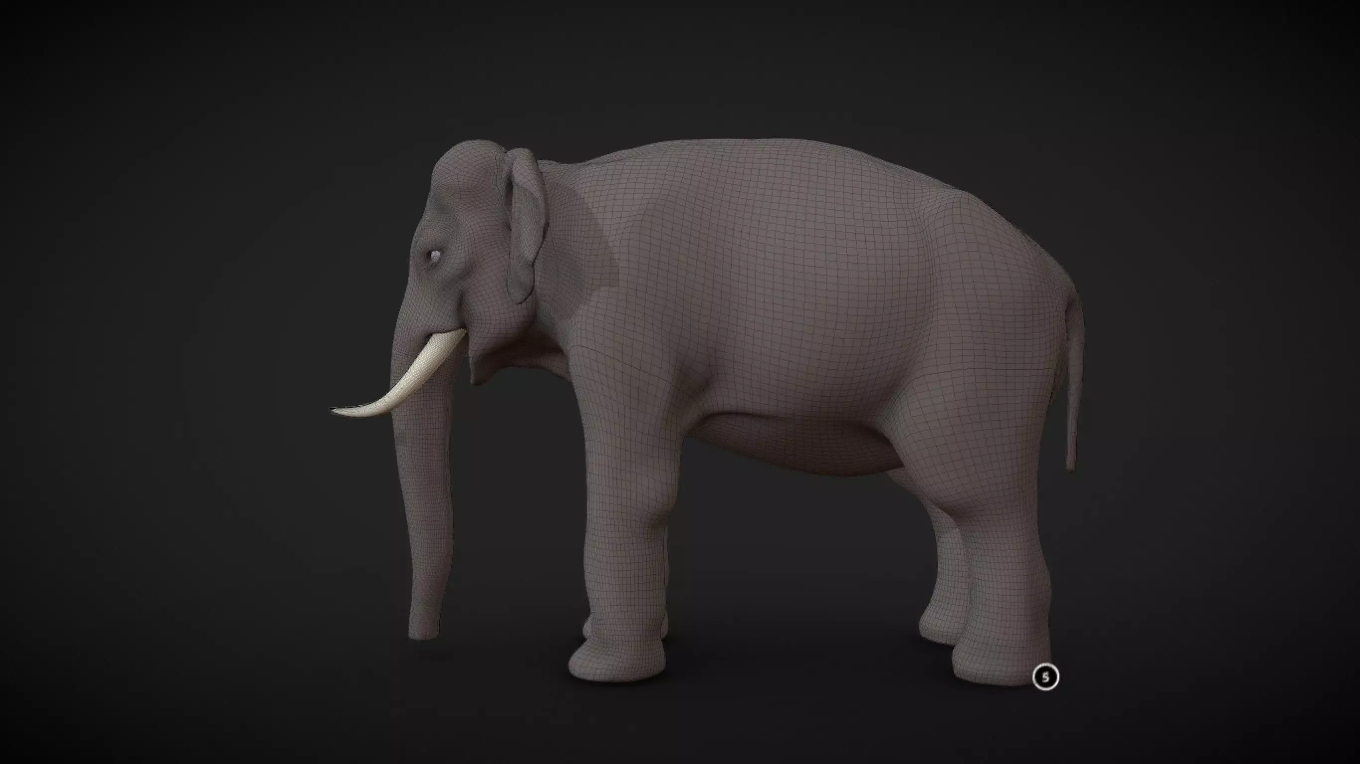 Asian Elephant male Base Mesh Low-poly 3D model_0
