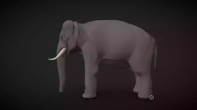 Asian Elephant male Base Mesh